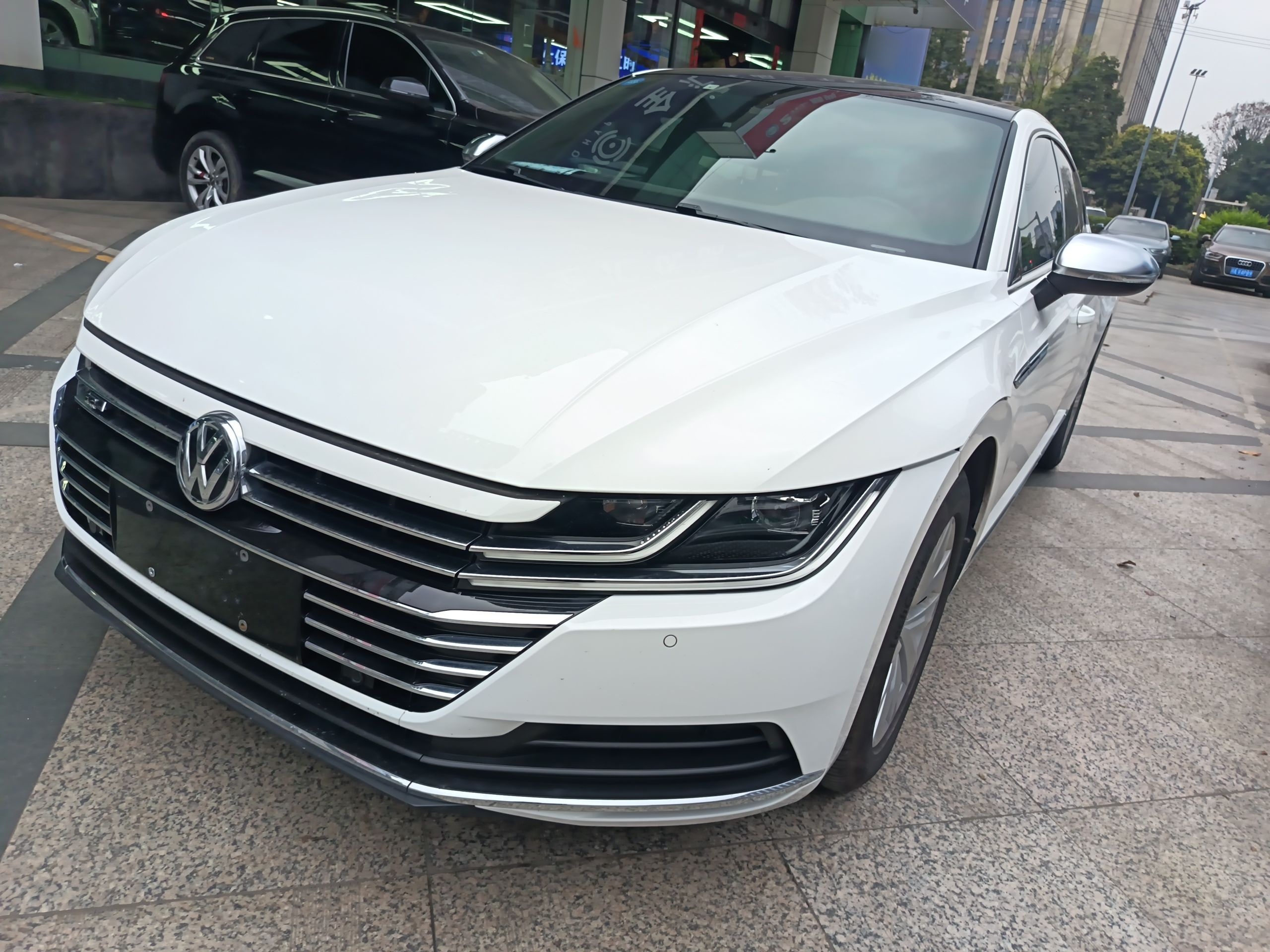 Parte inferior delantera