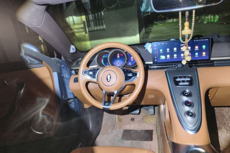 Used ORA Lightning Cat 2022 555 km Luxury Edition
