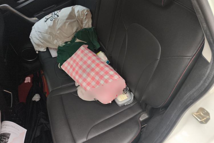 Used Haval M6 2017 1.5T Manual Two-Wheel Drive Elite Model Left Rear Seat