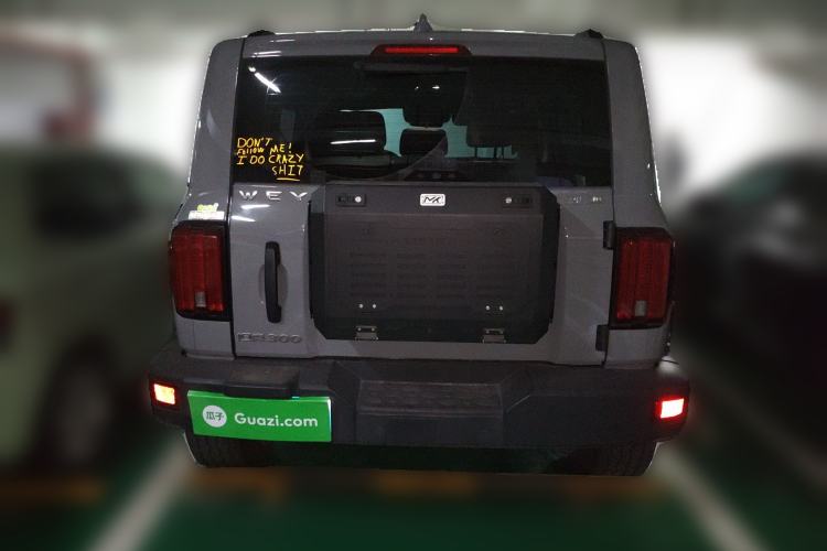 Used Tank 300 2021 Off-Road Edition 2.0T Conqueror Rear