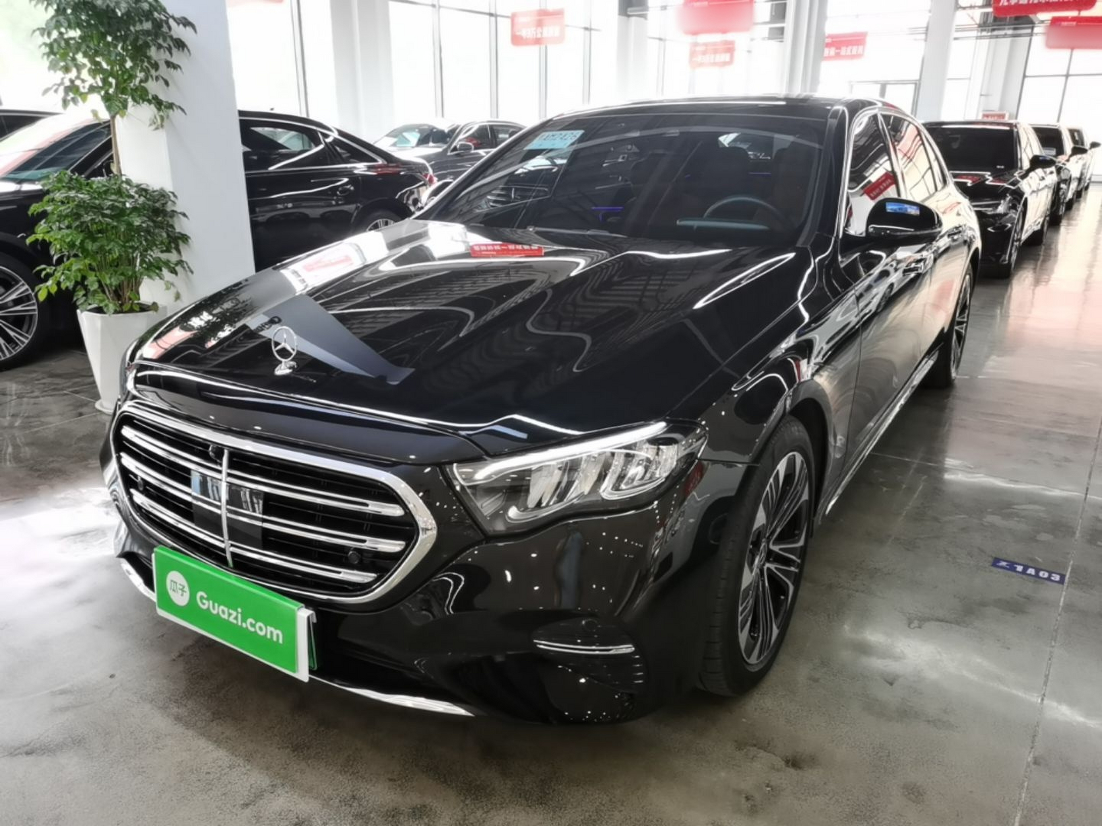 Under Front Bumper