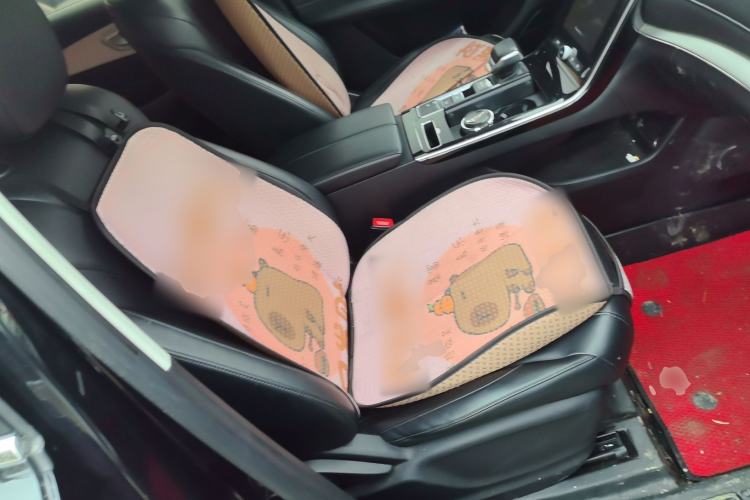 Used Roewe RX5 MAX 2019 300TGI Automatic 4G Connect Luxury Edition