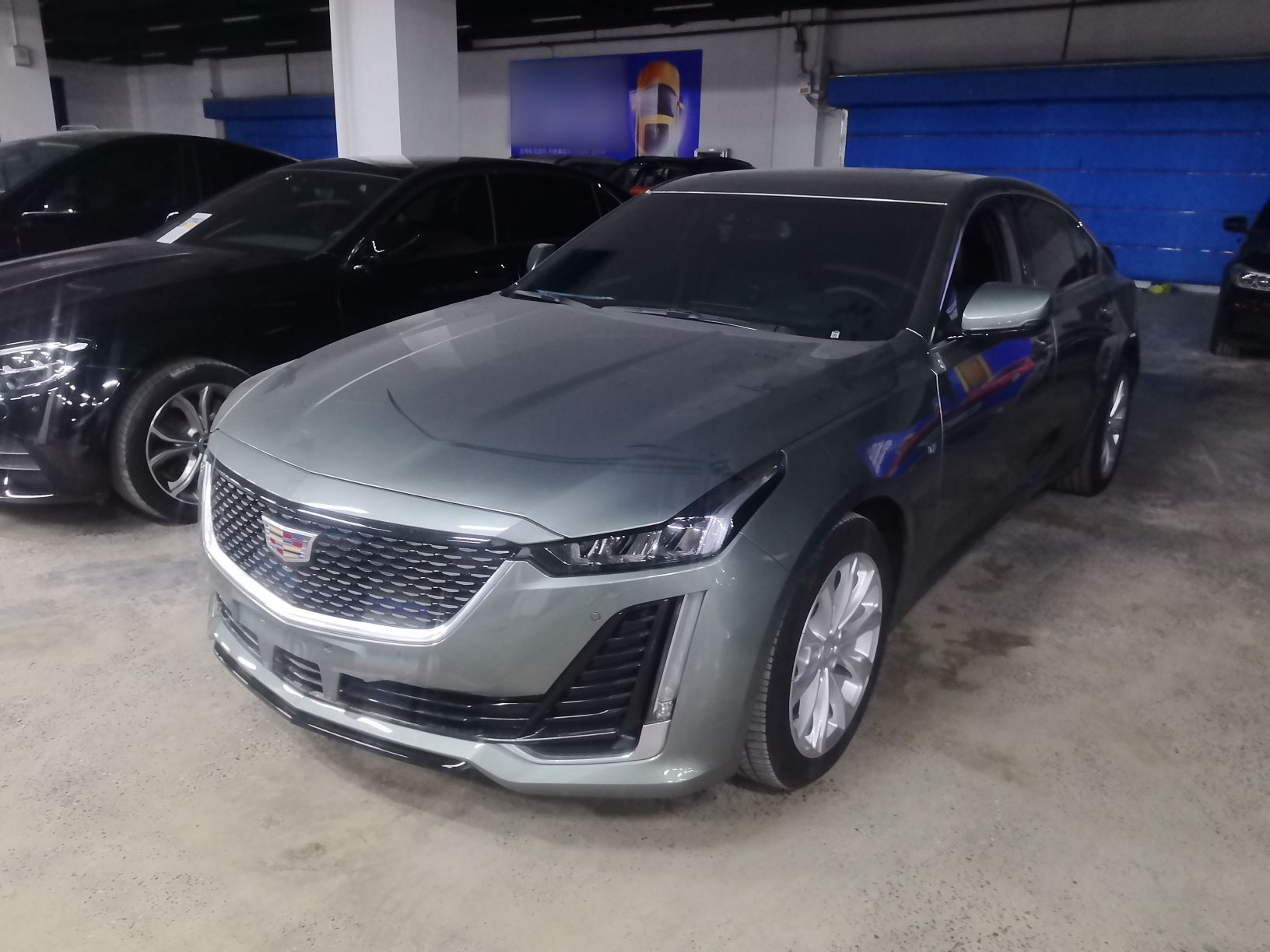 Parte inferior delantera