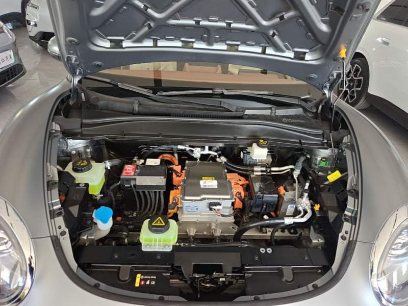Used ORA Good Cat 2025 Model, 430 km Prestige Version — 19