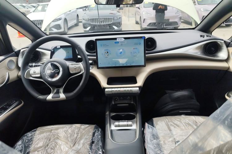 Used BYD Dolphin 2025 420km Free Edition