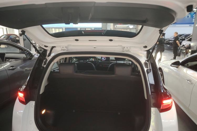 Used Dayun Yuehu 2021 32.85 kWh Two-Wheel-Drive Sprite Version Trunk