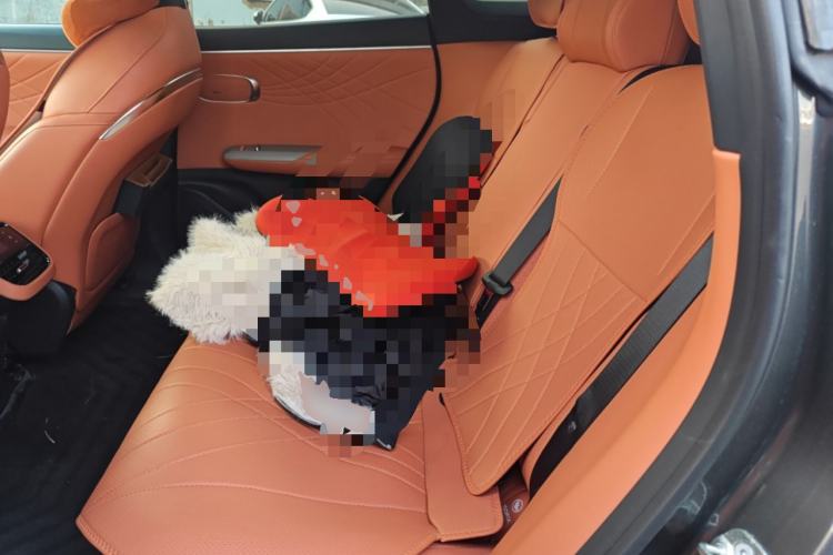 Used Deepal S07 2023 200Max Range-Extended Version Left Rear Seat