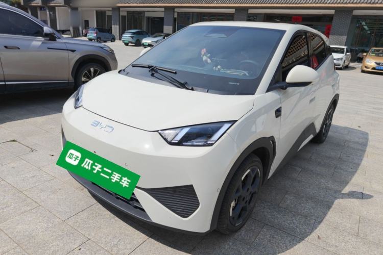 Used BYD Seagull 2025 Smart Drive Version 305 km Freedom Edition