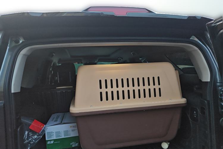 Used Tank 400 New Energy 2023 Hi4-T Super Edition