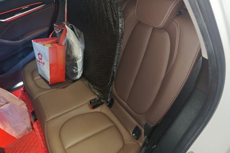 Used BMW X1 2020 xDrive25Li Luxury Edition
