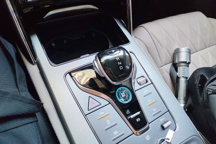 Used BYD Tang New Energy 2025 DM-i 115KM Prestige Model