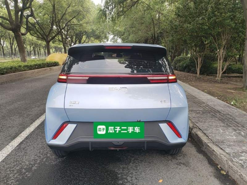 Used BYD Seagull 2024 Honor Edition 305km Freedom Version — 5
