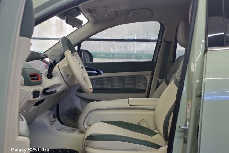 Used ORA Good Cat 2023 401 km Standard Range Luxury Version Lithium Iron Phosphate Left Front Seat