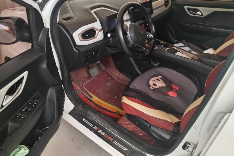 Used SOL E10X 2022 Flower Fairy Design Four-Leaf Clover