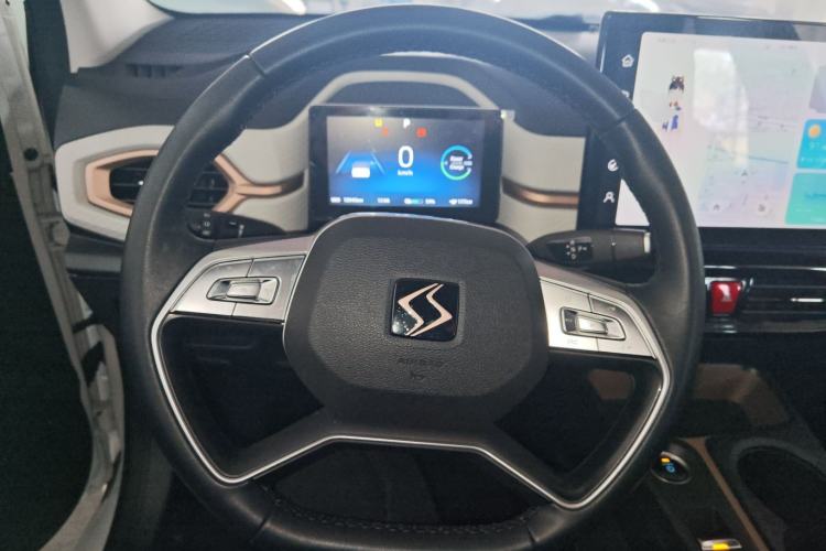 Used SOL E10X 2022 Flower Fairy Style Baby's Breath