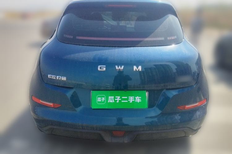 Used ORA Good Cat 2025 Model, 430 km Luxury Version Rear