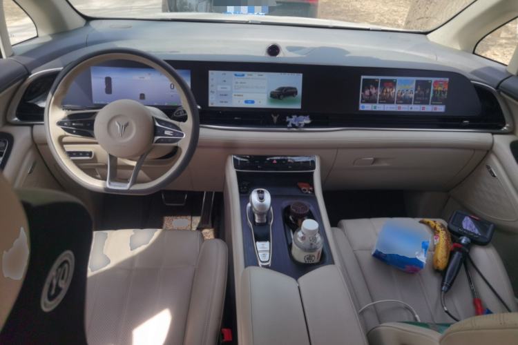 Used VOYAH Dream 2022 Low-Carbon Edition Home