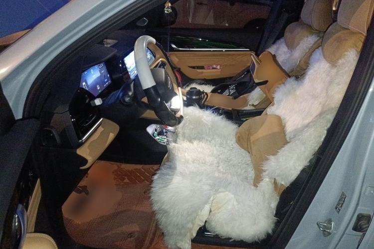 Used Geely Auto Monjaro L Extended Range Electric Version 2022 1.5T DHT Range-Extending Electric Supreme Edition
