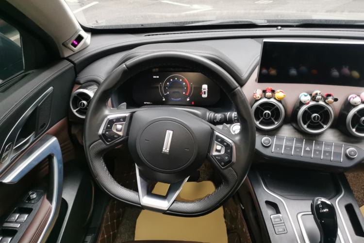 Used Wey VV7 2020 2.0T Flagship Edition
