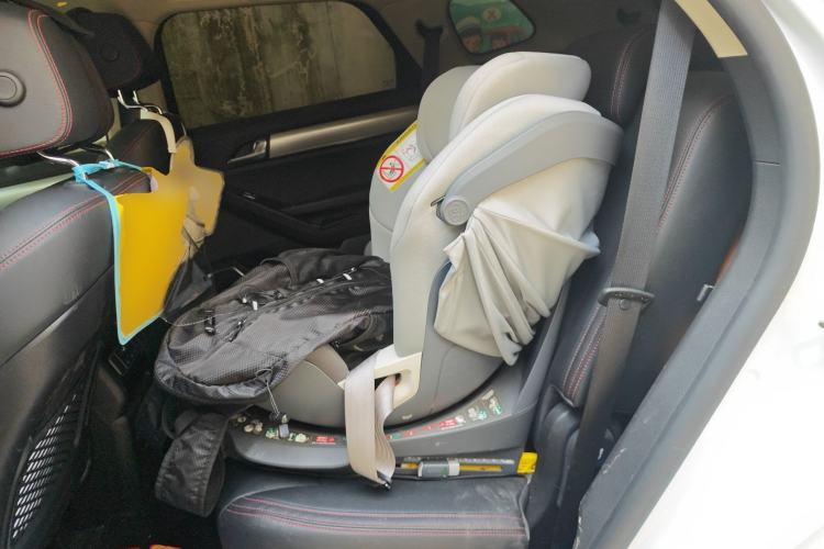 Used BYD Tang New Energy 2019 DM 2.0T All-Wheel Drive Connected Innovation Edition 7 Seats China VI Standard Left Rear Seat