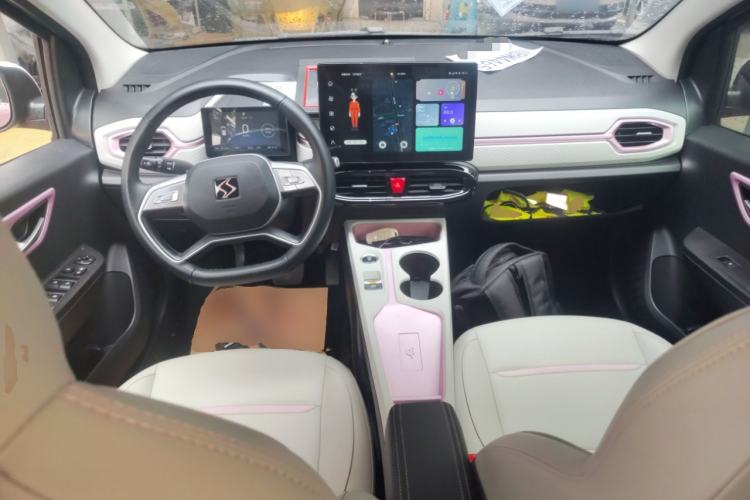 Used SOL E10X 2022 Flower Fairy Design Four-Leaf Clover
