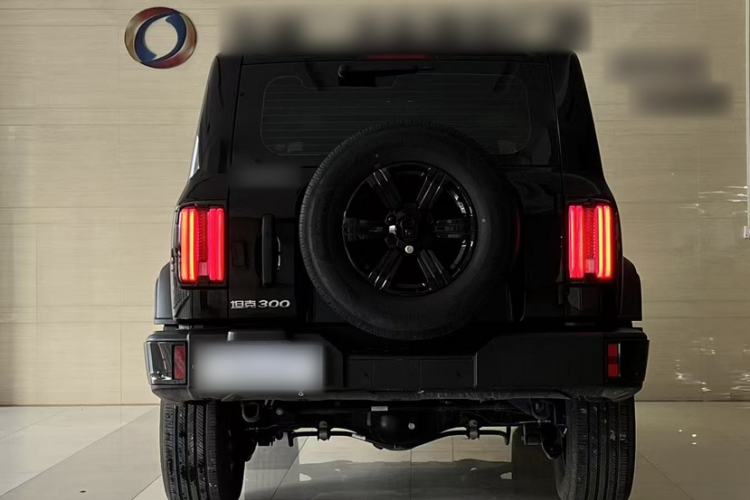 Used Tank 300 2025 2.0T Challenger