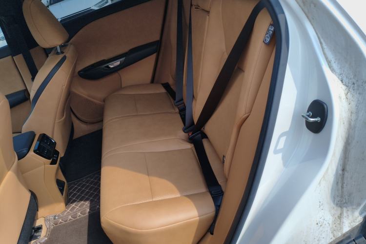 Used Lexus RZ 2023 450e All-Wheel Drive Luxury Edition Left Rear Seat