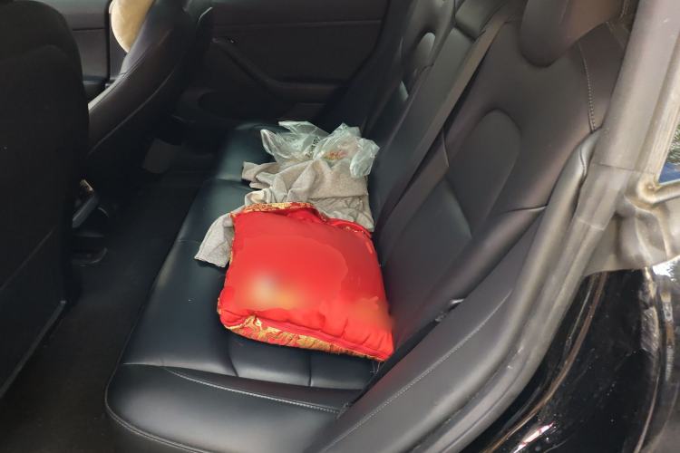 Used Tesla Model 3 2022 Rear-Wheel-Drive Version
