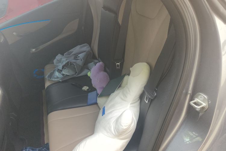 Used BYD Dolphin 2023 420 km Fashion Edition Left Rear Seat