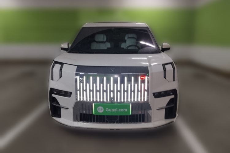 Used Zeekr 009 2022 Revised WE Version Front