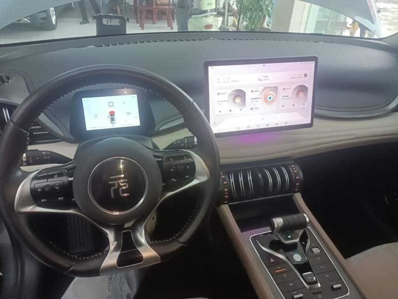 Used BYD Yuan PLUS 2023 Champion Edition 430KM Leading Model — 9