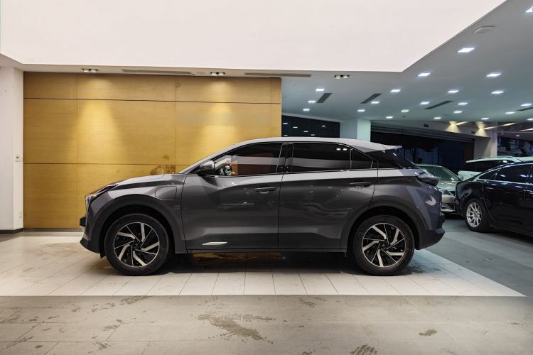 Used NETA U 2021 Pro 400 Cruiser Edition