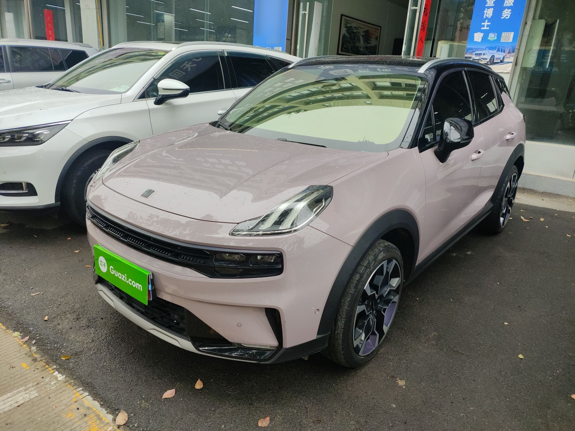 Parte inferior delantera