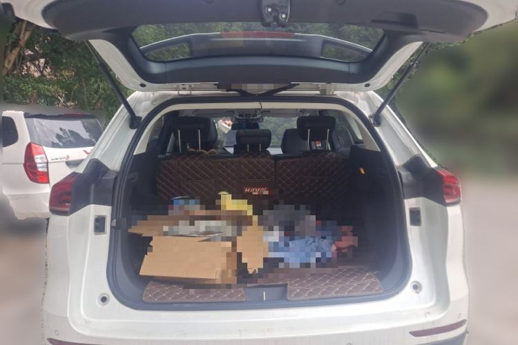 Used Haval H6 2021 China Trend Edition 1.5 GDIT Automatic Champion Version