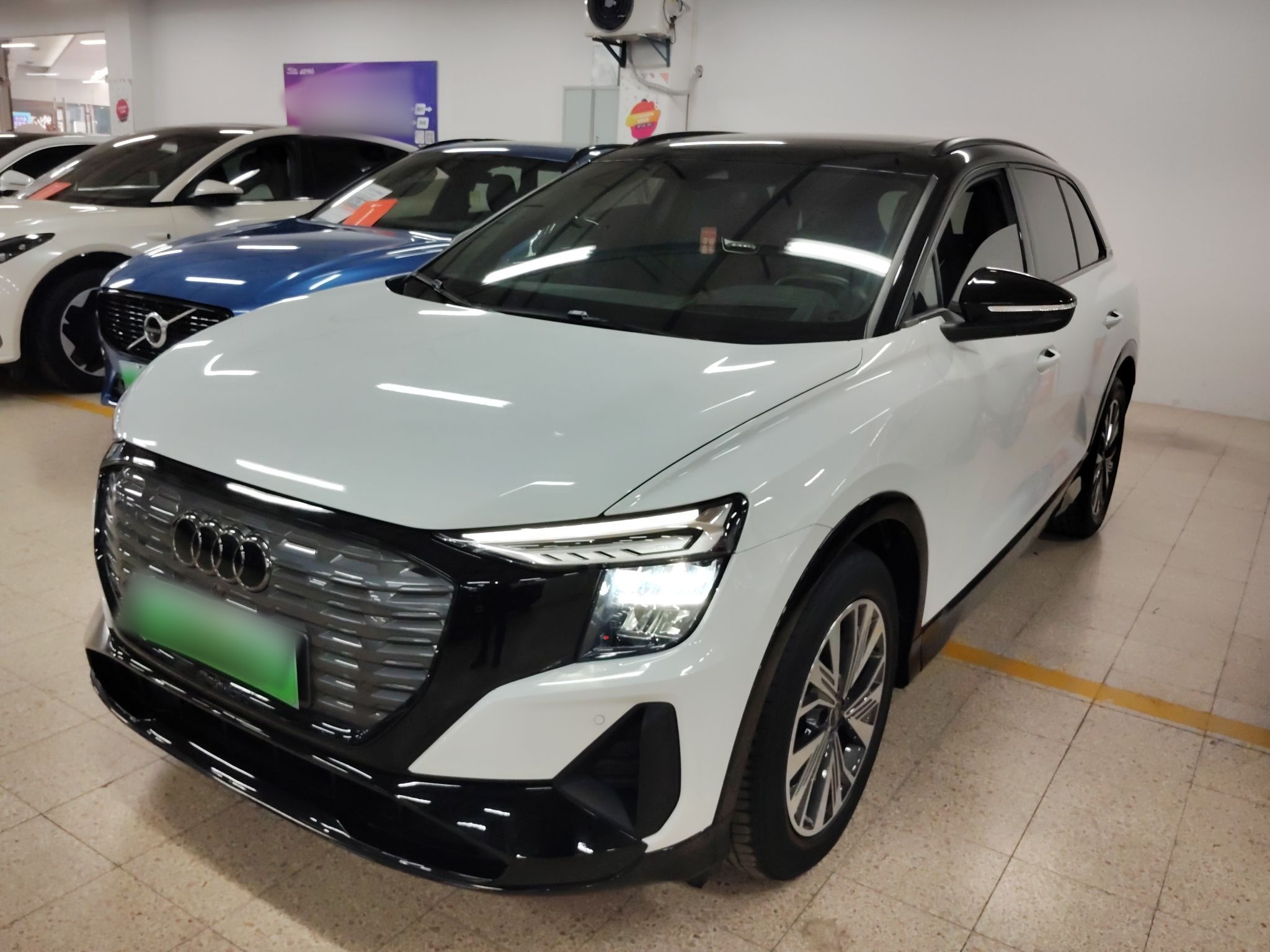 Parte inferior delantera