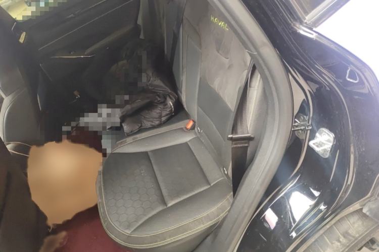 Used Haval H6S 2022 2.0T Two-Wheel Drive ZhiRun Version