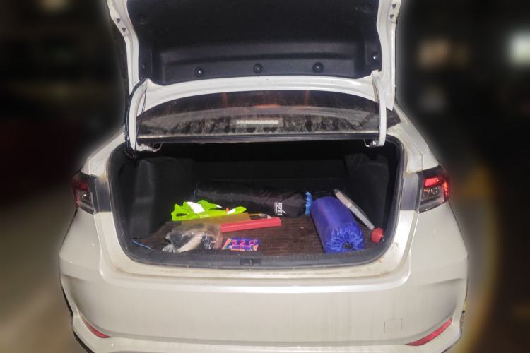 Used Toyota Corolla 2021 1.2T S-CVT Luxury Edition
