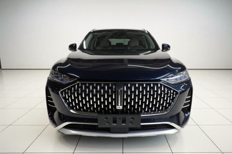 Used Wey Mocha 2021 2.0T Four-Wheel Drive Premium Edition
