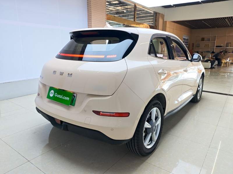 Used ORA Good Cat 2025 Model, 430 km Prestige Version — 6