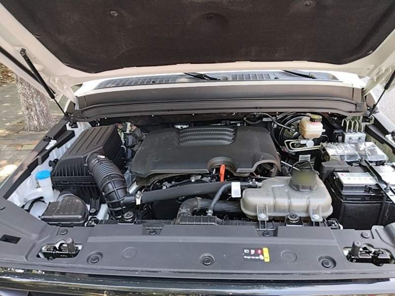 Used Tank 300 2024 2.0T Challenger — 19