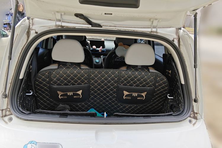 Used ORA White Cat 2020 360 km Luxury Version