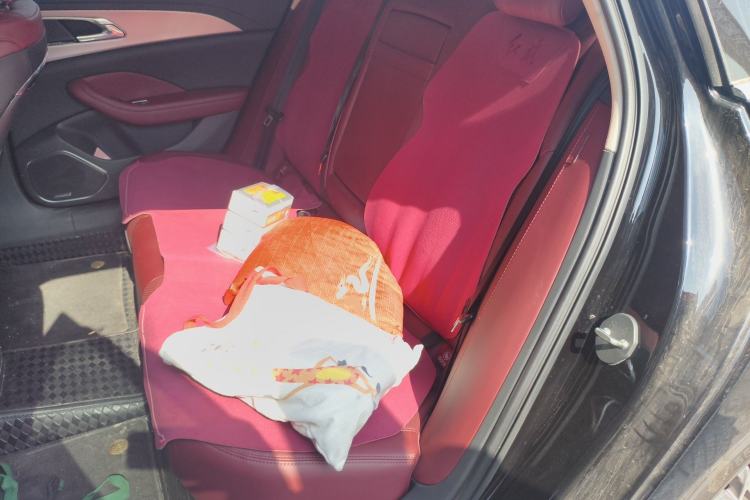 Used Hongqi H5 2023 2.0T Automatic Smart Connect Flagship Edition