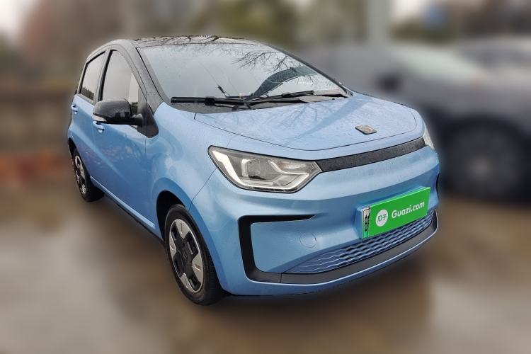 Used SOL E10X 2022 Flower Fairy Design Four-Leaf Clover
