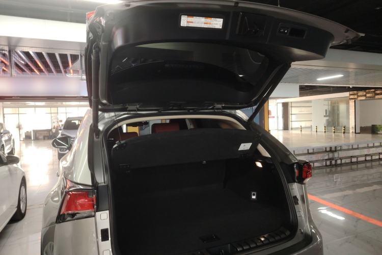 Used Lexus NX 2020 200 All-Wheel Drive Fēngshàng Version China VI Standard