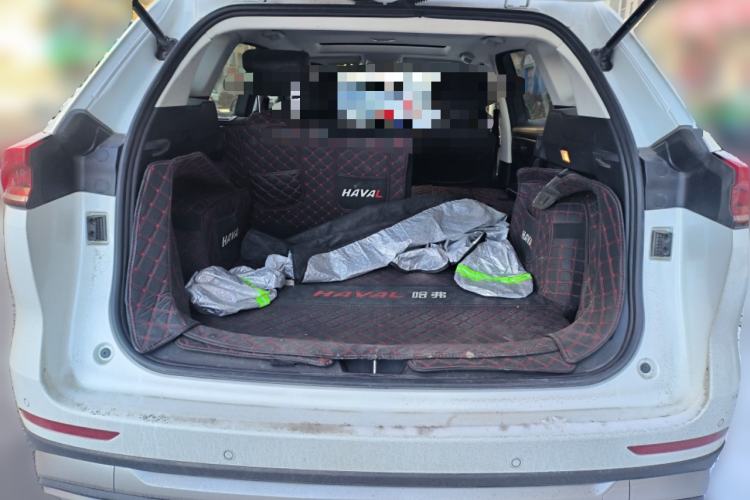 Used Haval H6 2021 National Trend Edition 1.5T Automatic Urban Version
