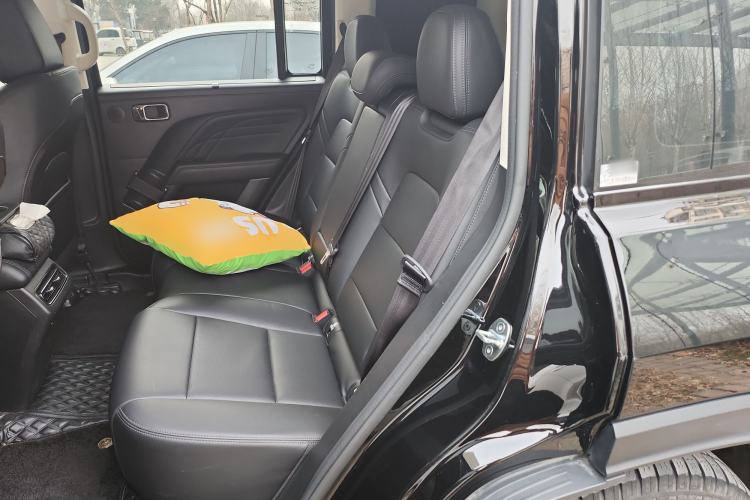 Used Haval Raptor New Energy 2024 Hi4 145 Cross-Over Edition Left Rear Seat