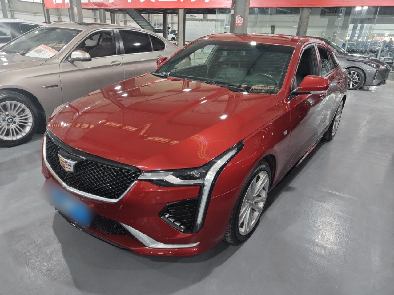 تحت مقدمة السيارة