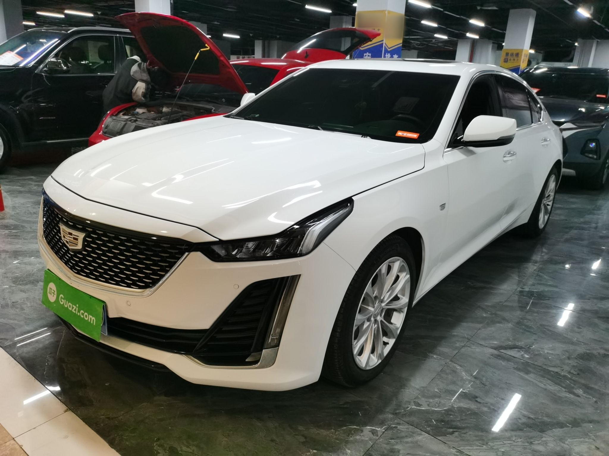 Parte inferior delantera