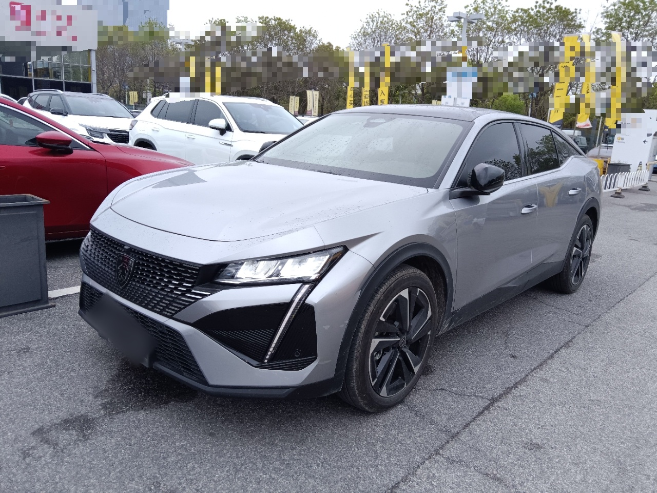 Parte inferior delantera