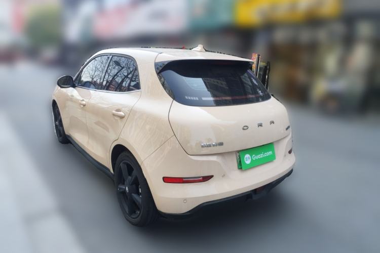 Used ORA Good Cat 2024 401 km Luxury Version